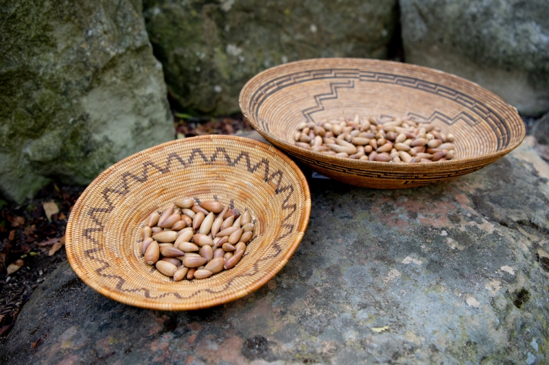 Smooth, shiny acorns in two Chumash baskets