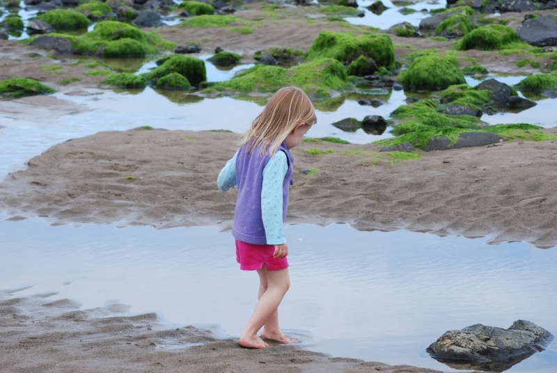 A little girl (Lucy) steps into a tidepool on a sandy beach
