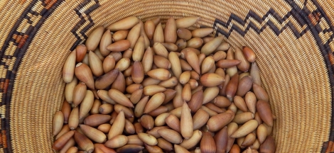 SUPAK'A - Sharing Chumash Culture