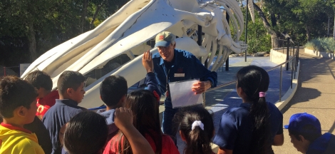 Docent Open House