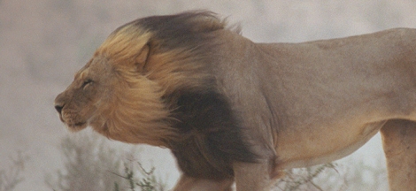 50 Greatest Photographs - National Geographic