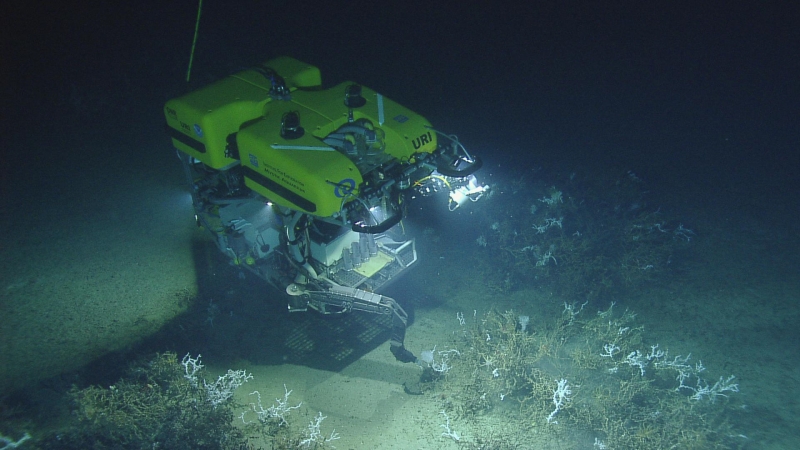 Hercules ROV sampling