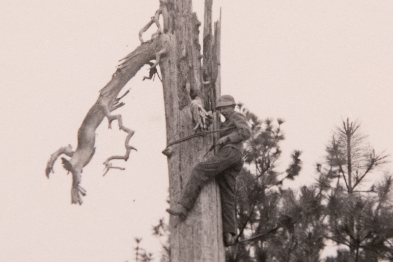 climbing a nest detail