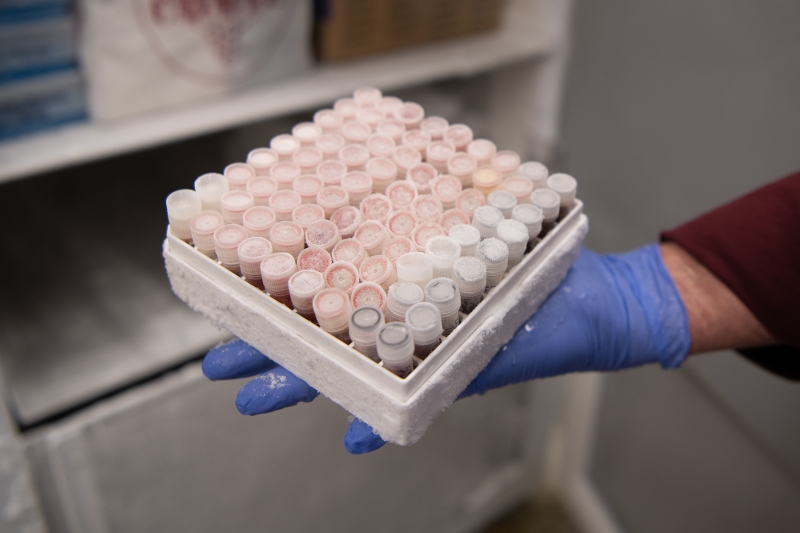 Tiny Nalgene vials frozen in a pallet in front of an open freezer door