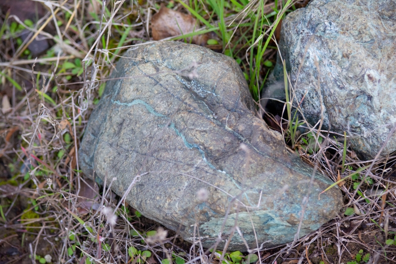 Rocks resting in place on the ground, with grass and leaf litter around them. The rock in the center is a pale gray-green-blue, with handsome veins of brighter blue-green serpentine