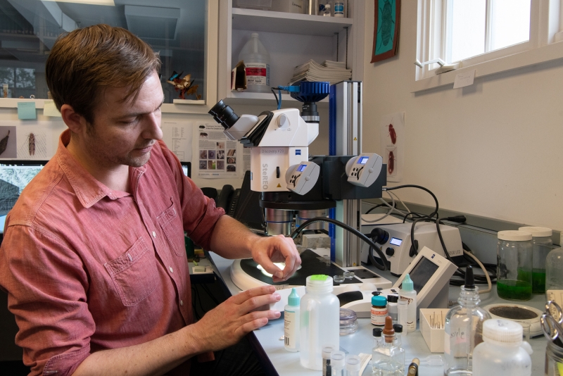 Gimmel working in his office at microscope