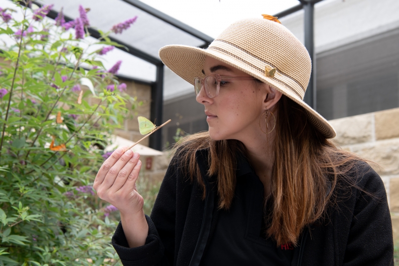 Senior Manager of Guest Services & Butterfly Pavilion Manager Kim Zsembik 