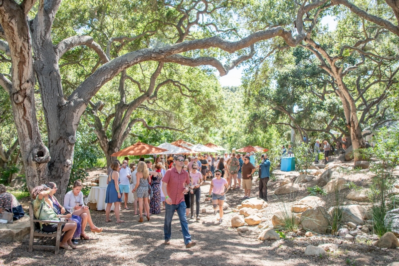 Santa Barbara Wine + Food Festival at the Museum