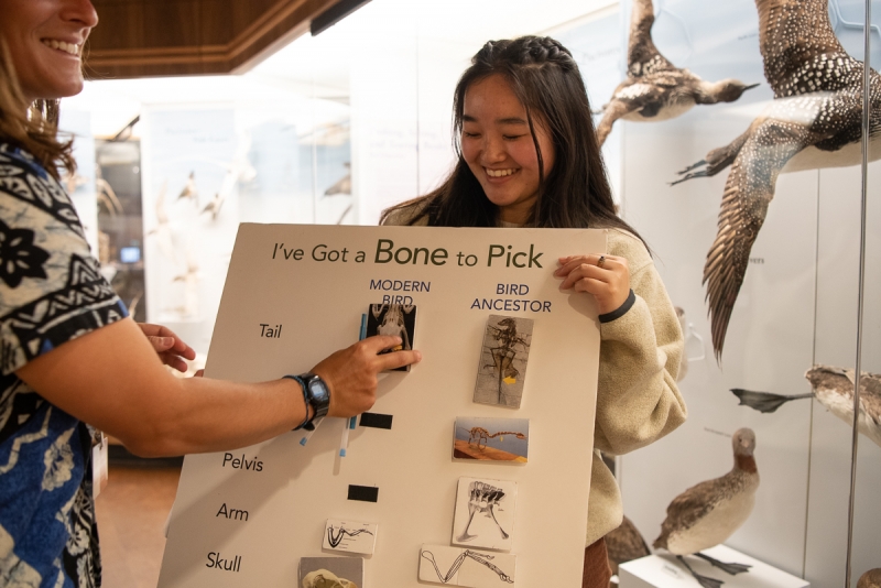 A smiling young woman with long dark hair looks down at a museum matching game about bird bones, which she is holding in front of her on a posterboard. She's standing in an exhibit hall with taxidermied birds around her. Another woman is standing nearby smiling and playing the matching game.