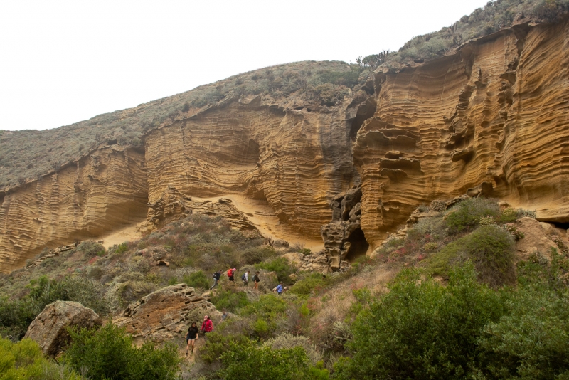 Sandstone of the Becher’s Bay formation eroded by wind and water in Lobo Canyon 