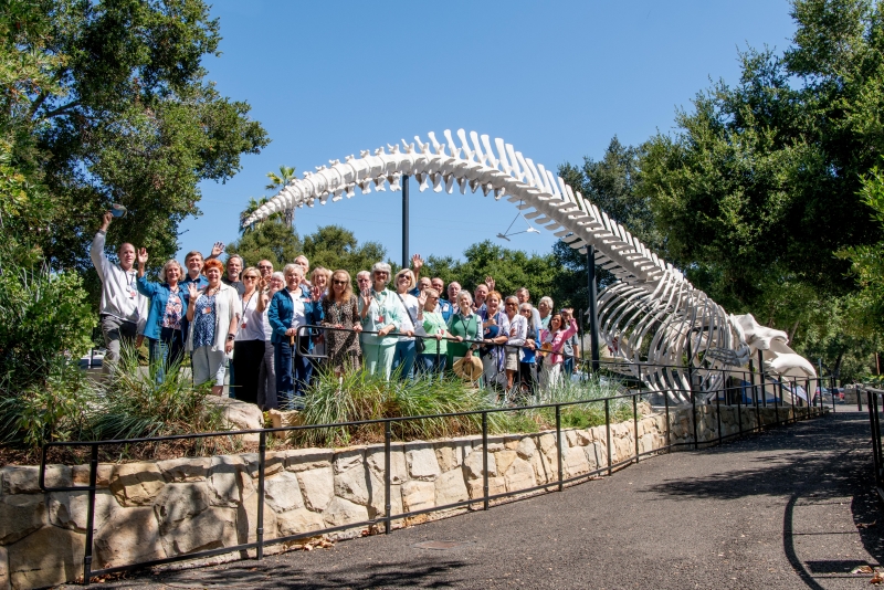 A group of Volunteers posing with the Museum's Blue Whale Skeleton
