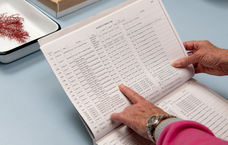Horvath's hand pointing at a listing in a record book. Every specimen lot has a detailed row of information.