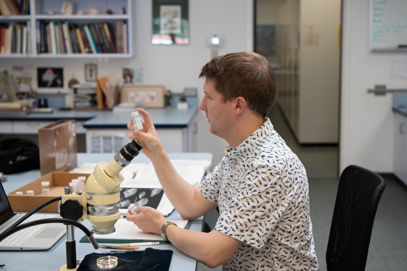 A man sitting at a microscope in a lab, with cabinets and bookshelves in the background. He looking at a tiny specimen vial.