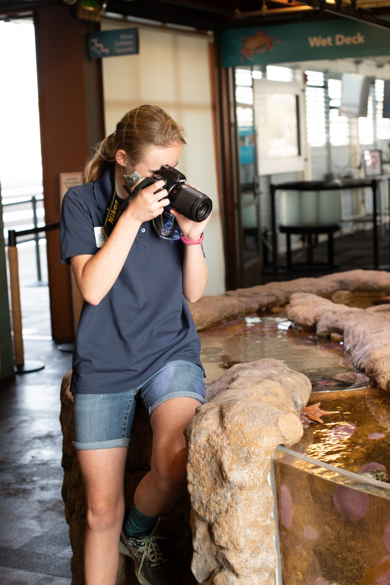 A young woman (Lucy) looks through a camera at a touch tank habitat with sea stars and other invertebrates
