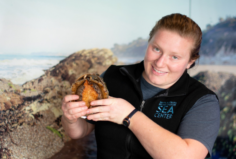 A smiling woman holding up a huge marine snail