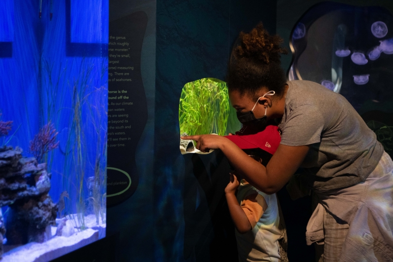Family exploring the Sea Center new exhibit Dive In: Our Changing Channel