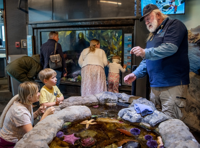 An older man is gesturing, speaking to a woman and young child as they look in awe in front of a pool full of sea stars