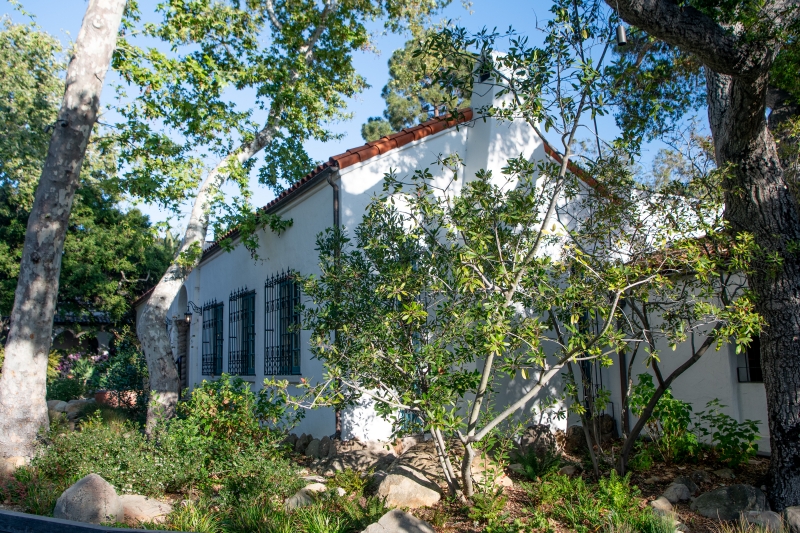 The same building as pictured above, but today. The white walls are somewhat obscured by the green plants which have grown up around the building.