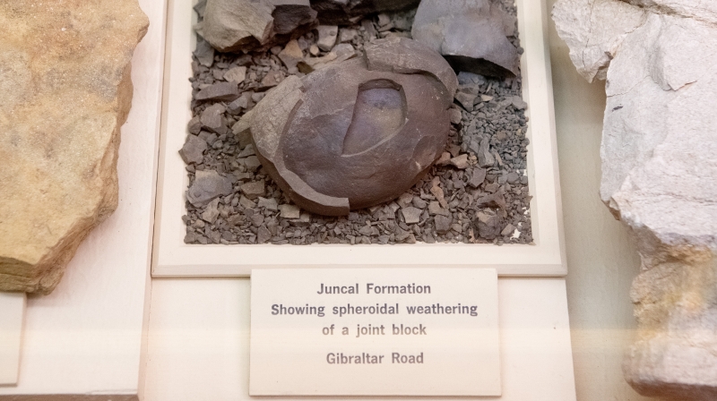 An egg-shaped rock with misleadingly shell-like layers, sitting in a museum display. The label reads 