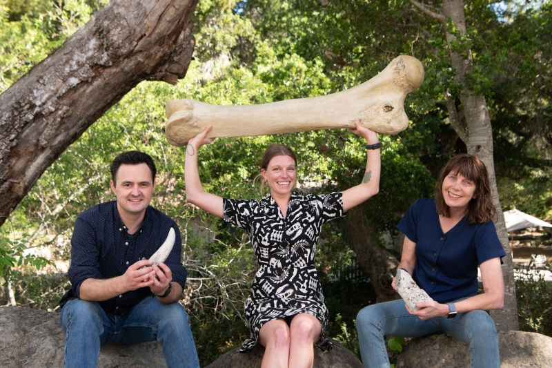 Three kind geologists pose for a silly photo, holding a replica _T. rex_ tooth, a replica of the giant femur of a Columbian Mammoth, and a rock covered in holes drilled by clams.