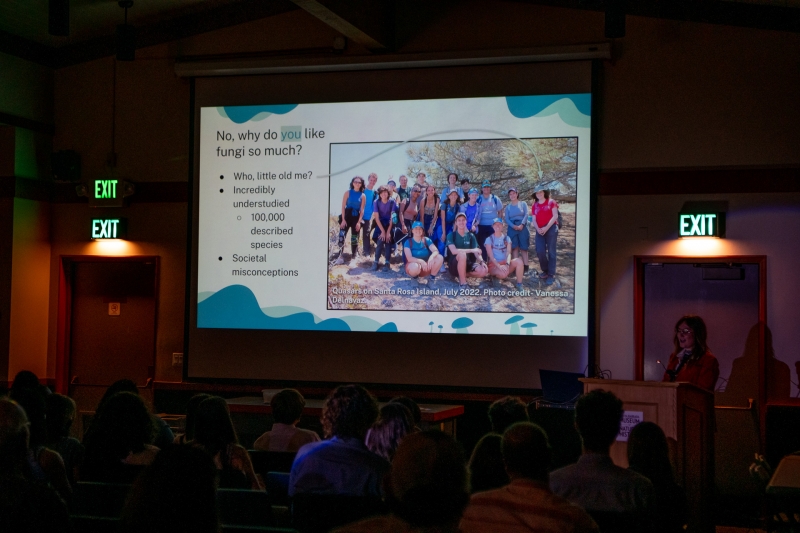 A photo of my presentation in an auditorium. I stand, speaking, at a podium on the right side of the image. In the center of the image, a projection screen displays a slide titled “No, why do you like fungi so much?”, with bulleted text underneath reading “Who, little old me?”, “Incredibly understudied–100,000 described species”, and “Societal misconceptions”. A photo of 18 people posing in nature takes up the right side of the slide, captioned “Quasars on Santa Rosa Island, July 2022. Photo credit- Vanessa Delnavaz.” Two doors with illuminated exit signs are on either side of the screen. An audience with their backs to the camera sit at the bottom of the image.