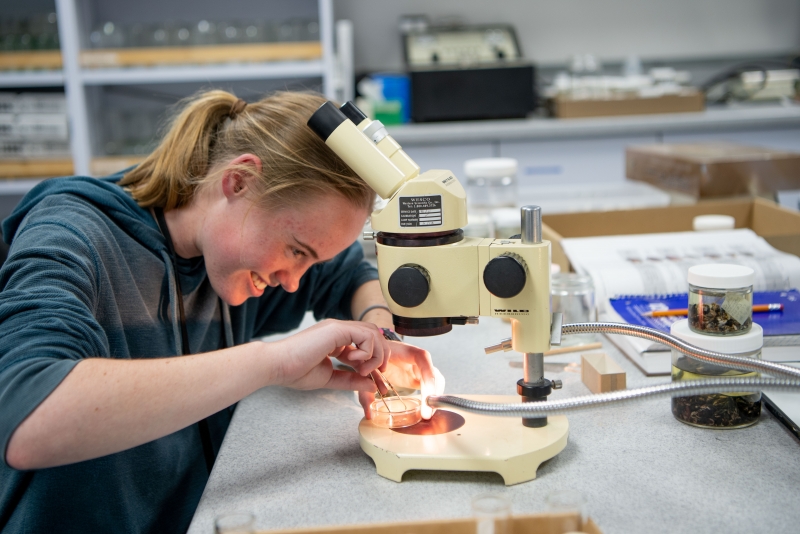 Quasar using a microscope 