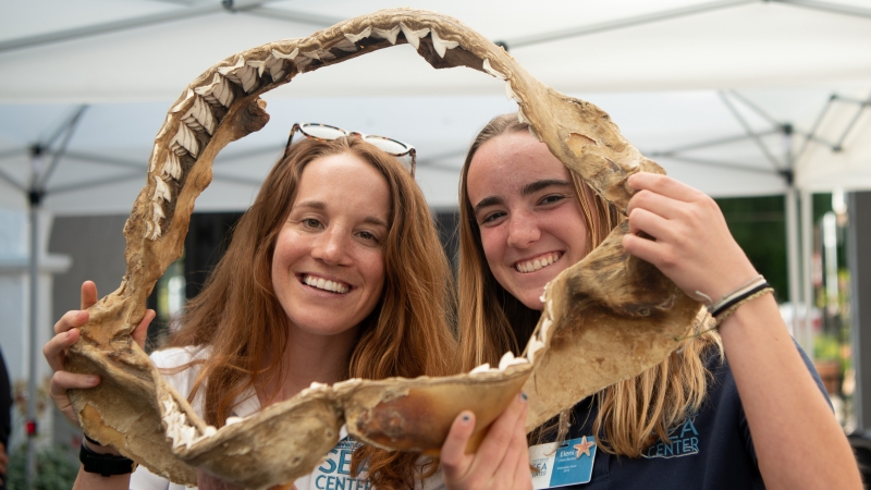 Two young women smiling as they peek through the giant preserved jaws of a Tiger Shark
