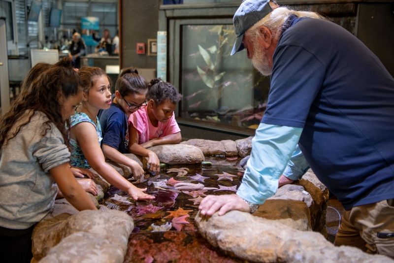 Visitors at the exploring the Sea Center's Tidepool