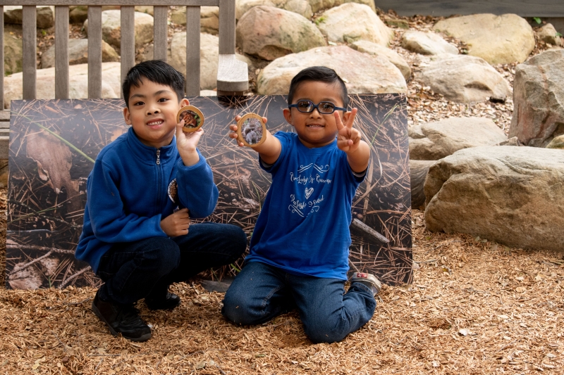 Students will learn what the basic needs of animals are and how they meet those needs in their habitats