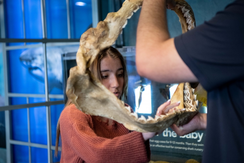 Sea Cernter Field Trips