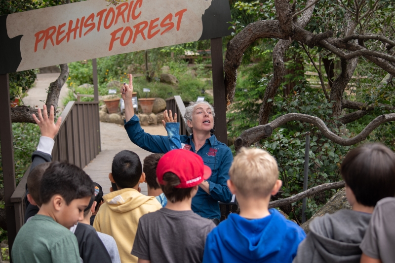 School Field Trips at the Museum's Prehistoric Forest