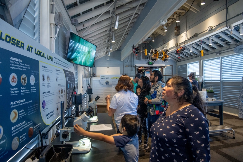 Visitors exploring the Sea Center's Wet Deck Exhibit