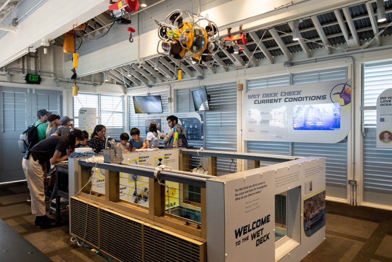 Sea Center visitors exploring local marine life