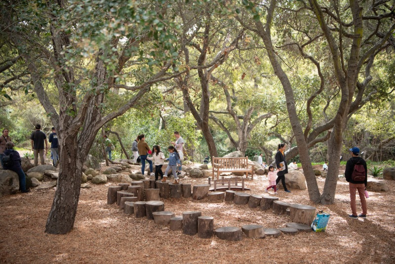 Children and parents playing and relaxing around a stump circle in an oak woodland