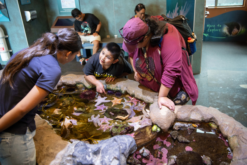 Visitors exploring the Santa Barbara Museum of Naural History's Sea Center