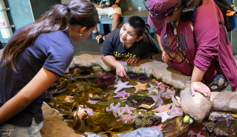 Visitors exploring the Sea Center's Tidepool on Stearns Wharf