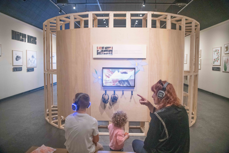 A family visiting the Santa Barbara Museum of Natural History’s new exhibit The Living Print, now open.