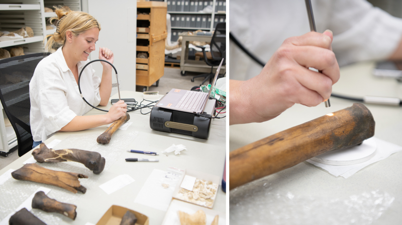 A young woman in a white coat holds a probe that looks like a narrow flashlight on a tube up to a dark bone
