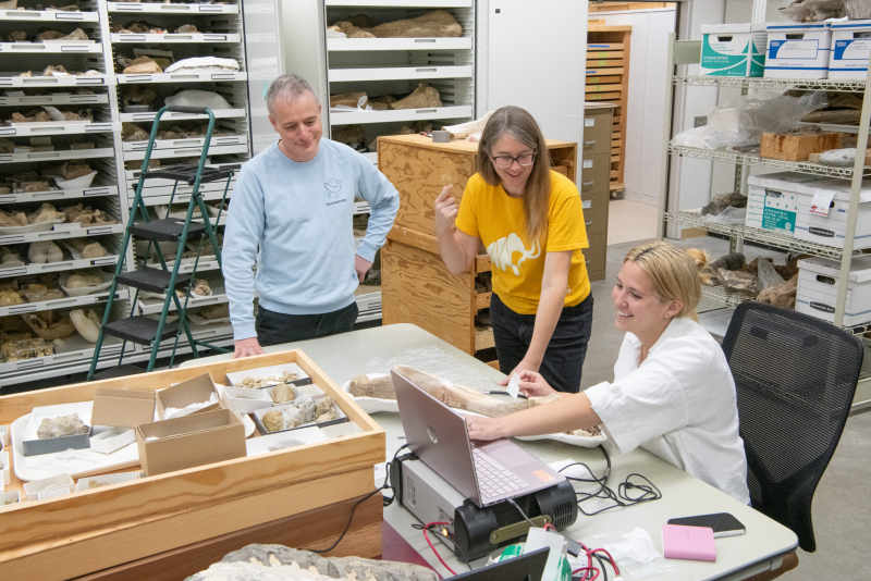 Three smiling researchers in the center of a busy-looking collections and research range, with bones on shelves all around them