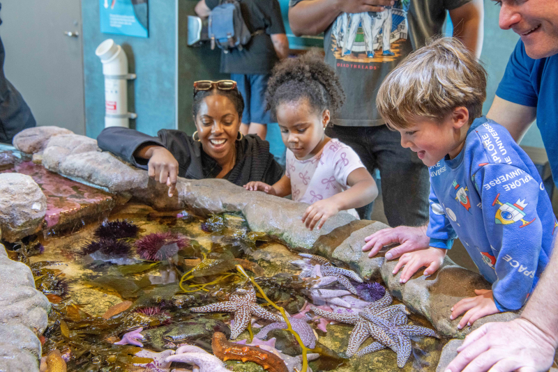 Sea Center Visitors in Tidepool