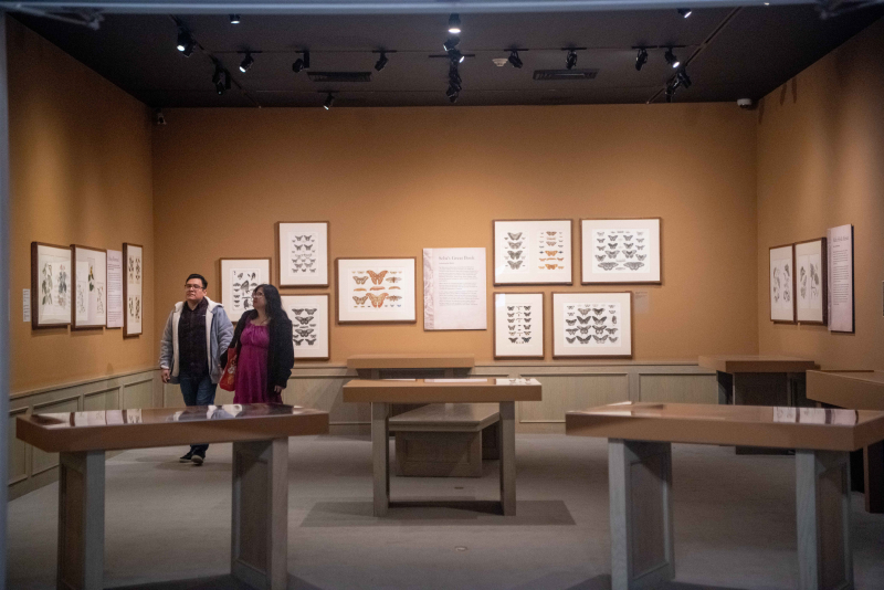 Visitors exploring the Maximus Art Gallery