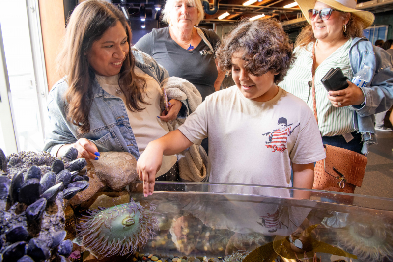 A family visiting the Santa Barbara Museum of Natural History’s Sea Center on Stearns Wharf