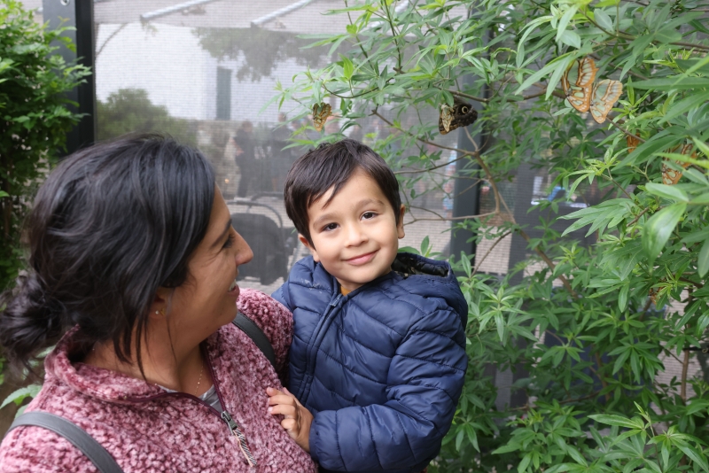 Members enjoying Butterflies Alive!