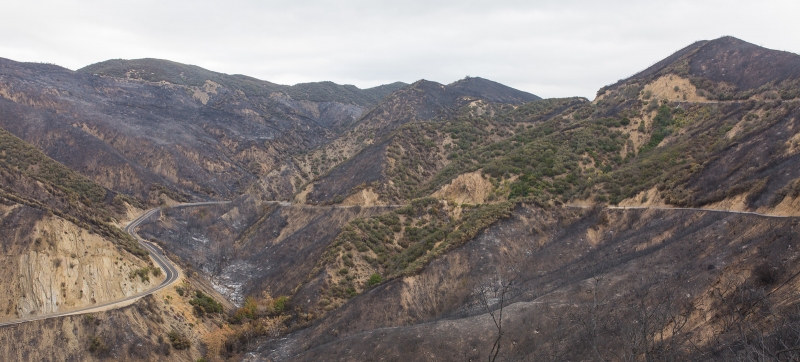 a burn scar from Thomas Fire