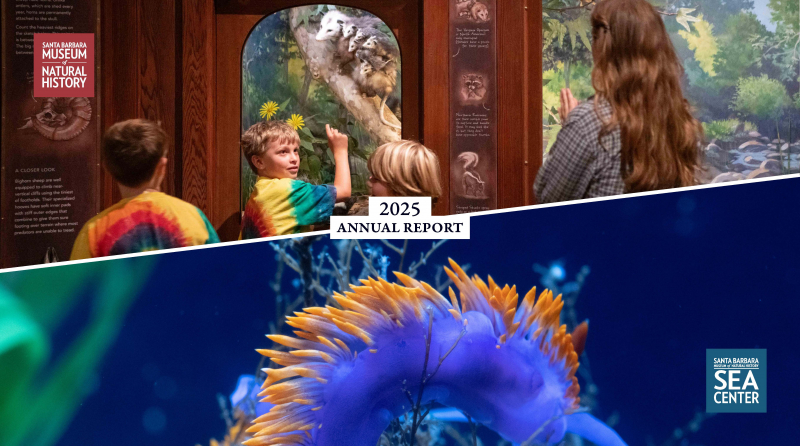 Cover image of the 2025 Annual Report