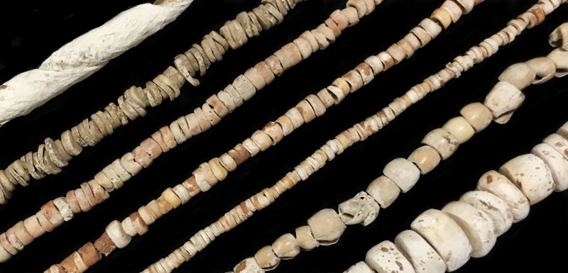 Santo Domingo Shell Necklace — Cisco's Gallery