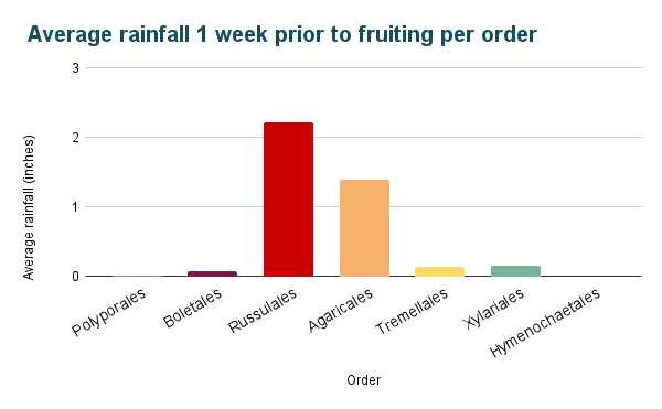 A multicolored bar graph titled “Average rainfall 1 week prior to fruiting per order.” The x-axis is labeled “Order” and has 7 different bars. The y-axis is labeled “Average rainfall (inches)” and goes up to 3. Polyporales and Hymenochaetales have no visible bar, and the bars for Boletales, Tremellales, and Xylariales are all very short, reaching less than .2. Agaricales reaches about 1.4, and Russulales is the tallest, reaching about 2.2. 