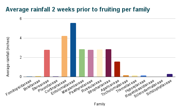 A multicolored bar graph titled “Average rainfall 2 weeks prior to fruiting per family.” It is very similar to the previous graph, with all bars being slightly taller but having grown by a proportional amount. The one exception is Agaricaceae, which grew by a significant amount. 