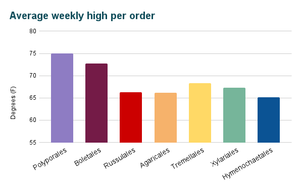 A multicolored bar graph titled “Average weekly high per order.” The x-axis has 7 bars with orders labeled. The y-axis is labeled “Degrees (F)” and ranges between 55 and 80. All of the bars are taller than 65 degrees, with the shortest being the Hymenochaetales, at 65.1 degrees and the tallest being the Polyporales, at 75 degrees.