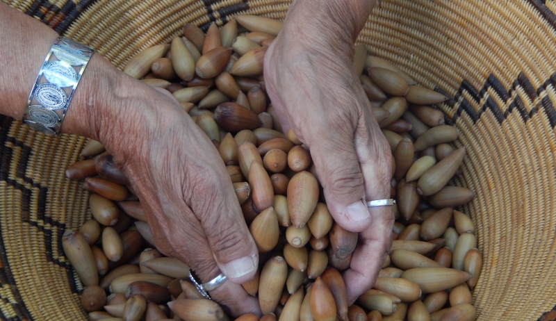 Acorn basket